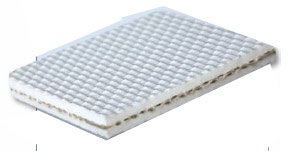 Schwan Press Pad & Plate ex. Germany